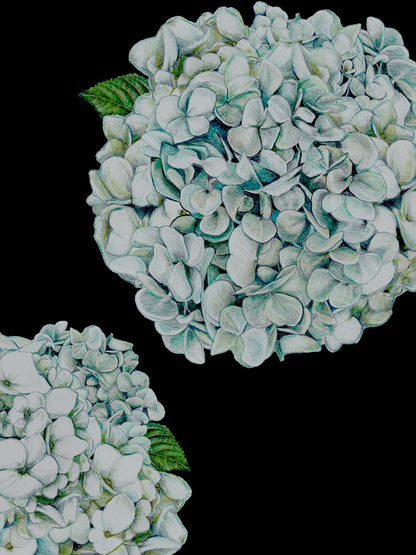 Hydrangea - Black - Cushion