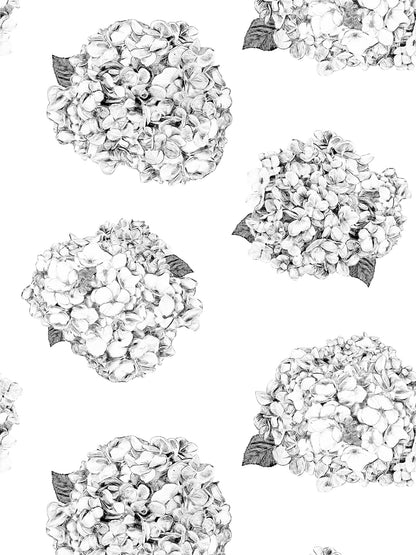 Hortensia - White - Wallpaper
